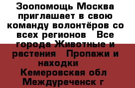 Зоопомощь.Москва приглашает в свою команду волонтёров со всех регионов - Все города Животные и растения » Пропажи и находки   . Кемеровская обл.,Междуреченск г.